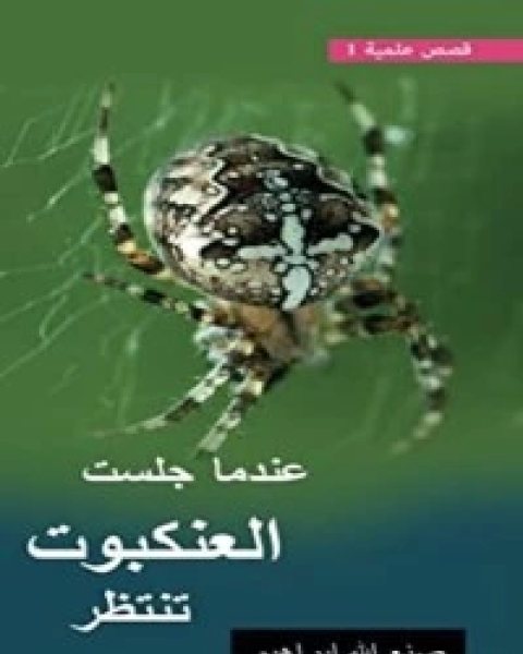 عندما جلست العنكبوت تنتظر
