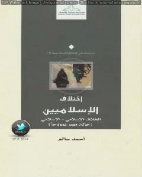 صورة الاسلاميين على الشاشة