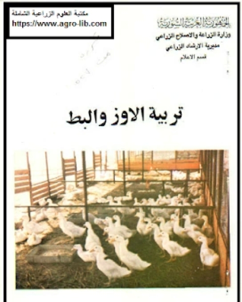 تربية الاوز و البط